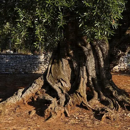 Апартаменты Helloapulia Masseria Terrarossa