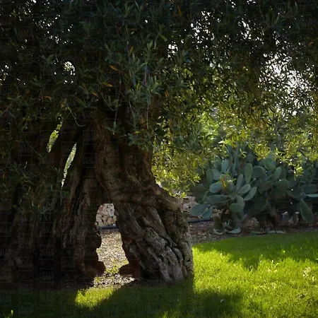 Helloapulia Masseria Terrarossa Апартаменты *